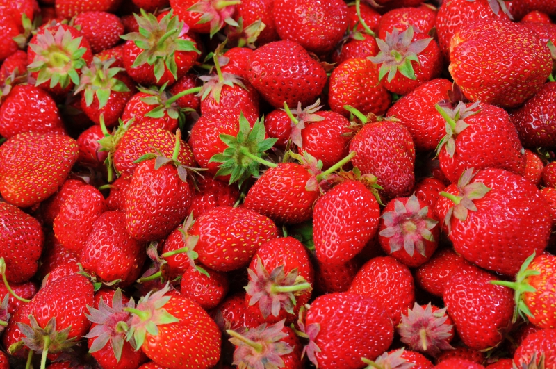 primeur-FREJUS-min_strawberries-528791